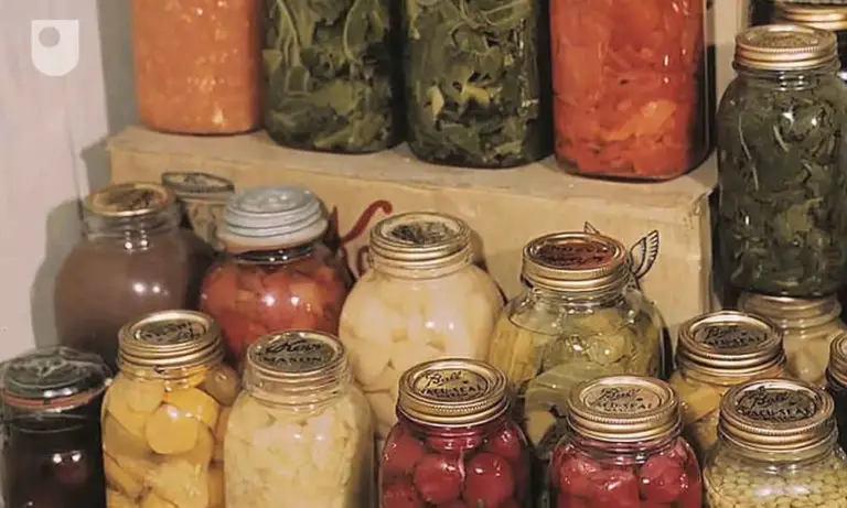 6 Easy Methods to Preserve Food For a Long Time